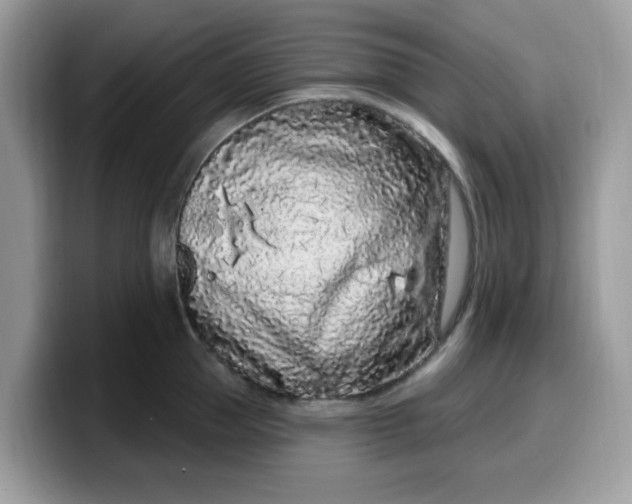 X0000099580953200805301557