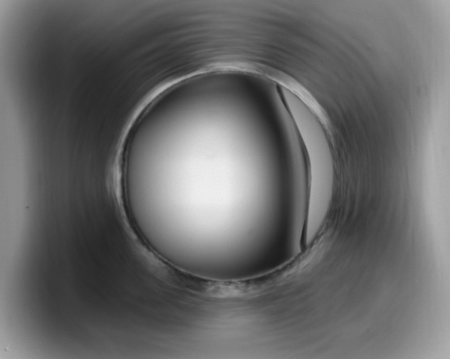 X0000099580955200805301557