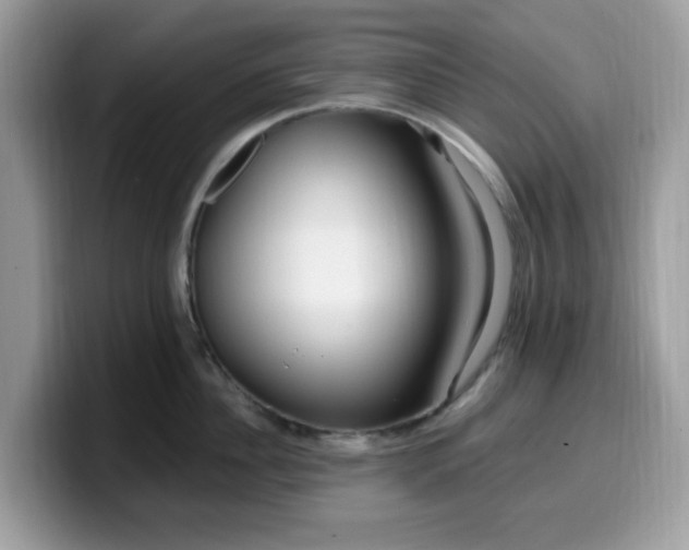 X0000099580956200805301557