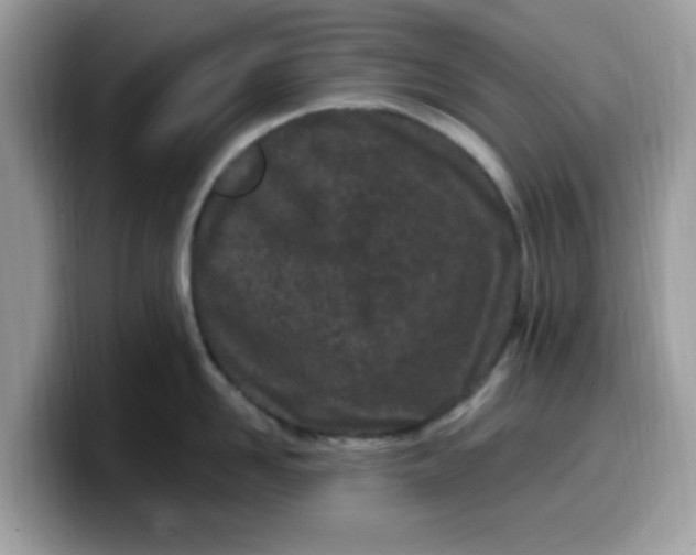 X0000099580958200805301557