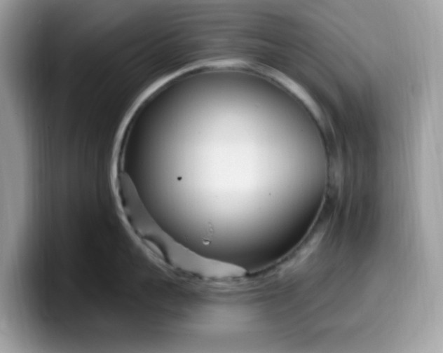 X0000099580959200805301557