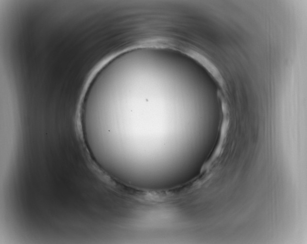 X0000099580960200805301557