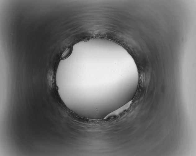 X0000099580963200805301556