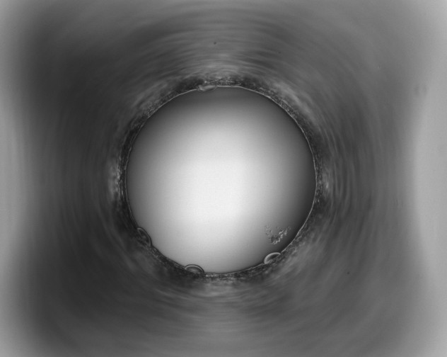 X0000099580964200805301556