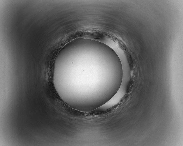 X0000099580965200805301556