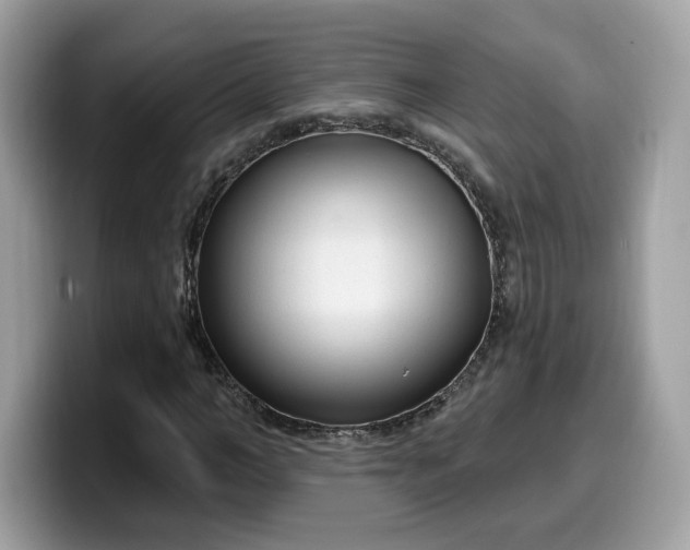 X0000099580966200805301556