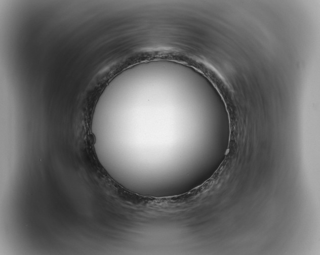 X0000099580967200805301556