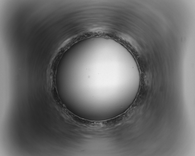 X0000099580968200805301556