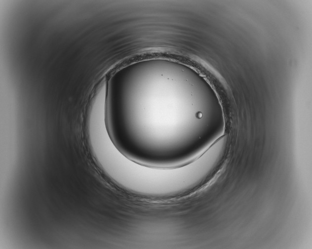 X0000099580969200805301556