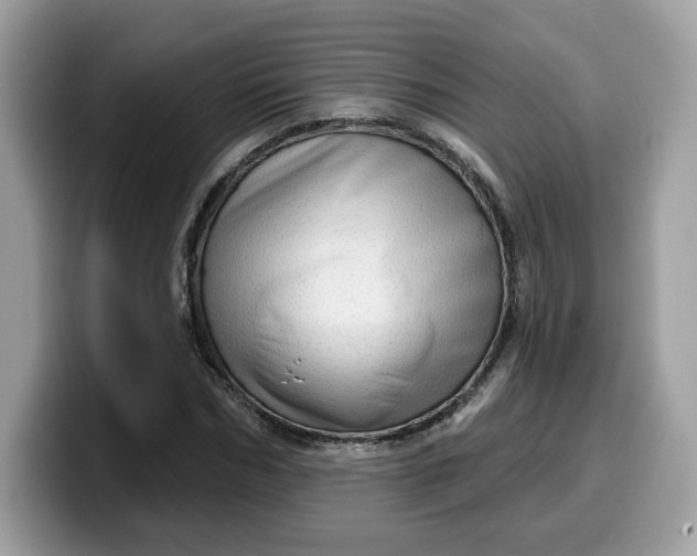 X0000099580970200805301556