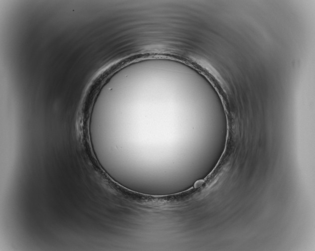 X0000099580971200805301556