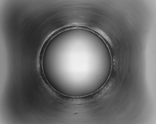 X0000099580972200805301556