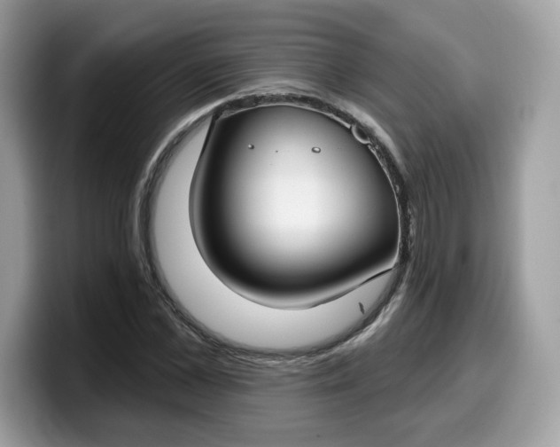 X0000099580973200805301556