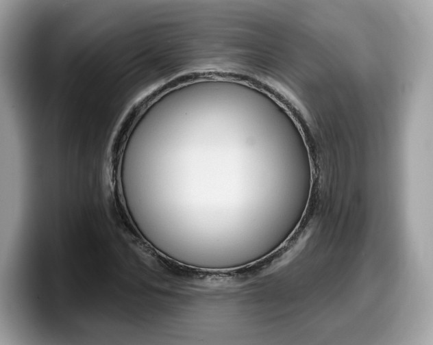 X0000099580974200805301556