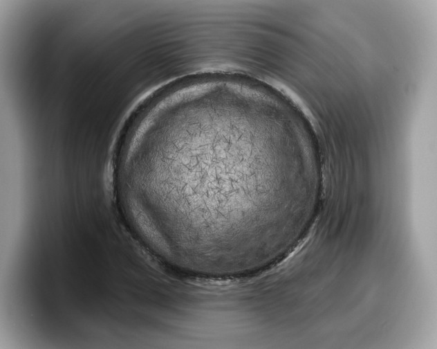 X0000099580975200805301556