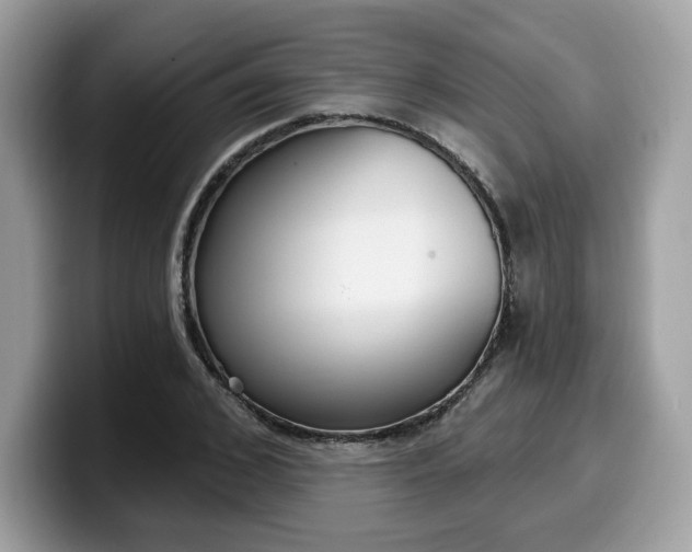 X0000099580976200805301556