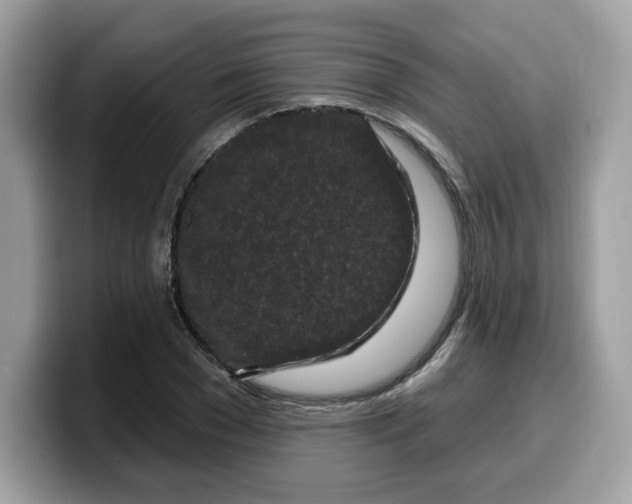 X0000099580977200805301556