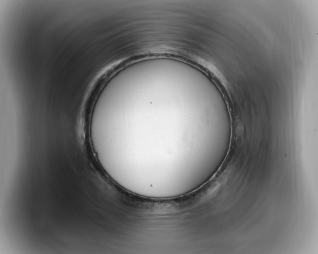 X0000099580979200805301556