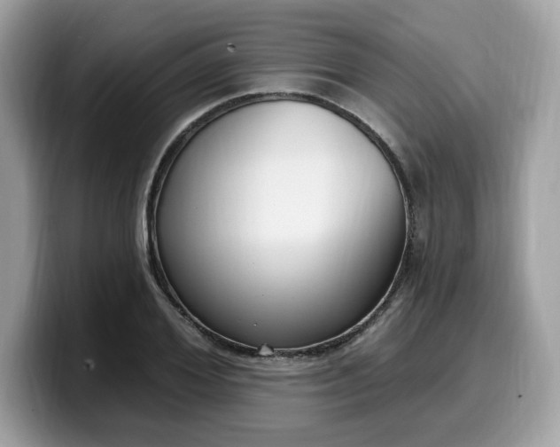 X0000099580980200805301556