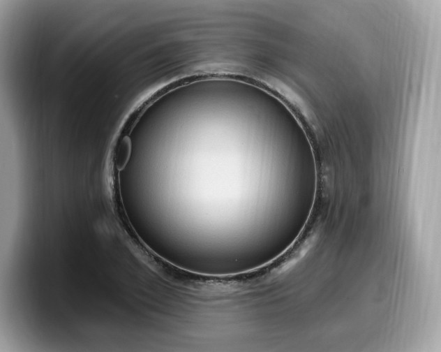 X0000099580981200805301556