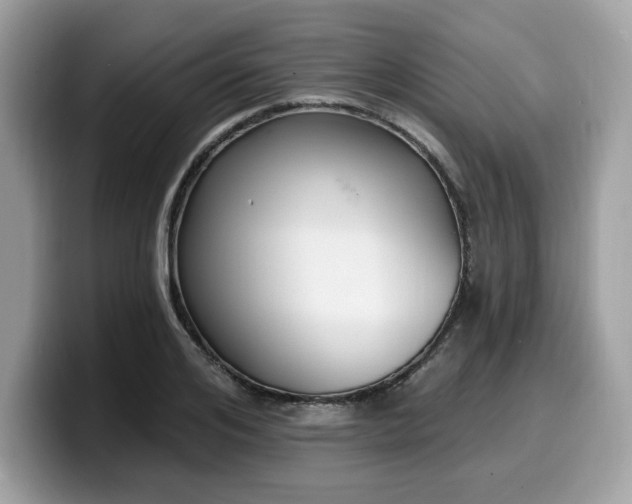 X0000099580984200805301556