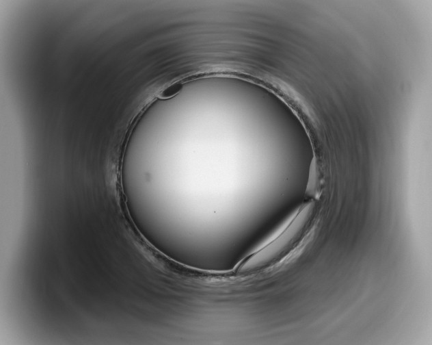 X0000099580985200805301556