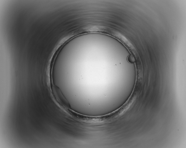 X0000099580986200805301556