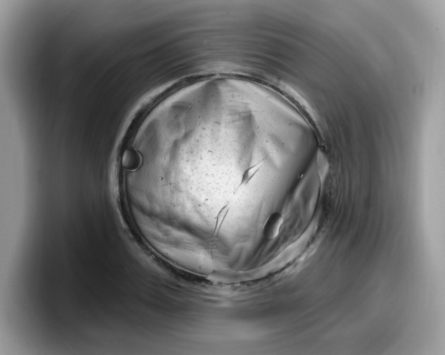 X0000099580987200805301556