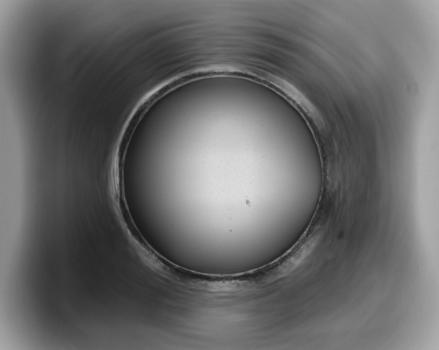 X0000099580988200805301556