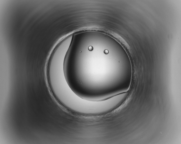 X0000099580989200805301556