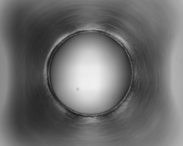 X0000099580990200805301556