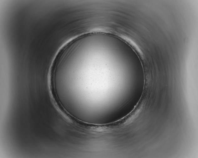 X0000099580991200805301556