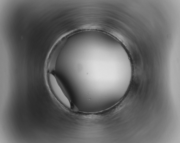 X0000099580992200805301556