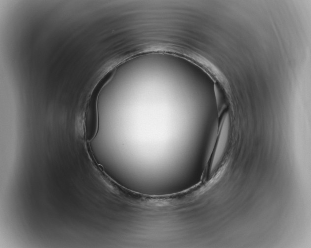 X0000099580993200805301556