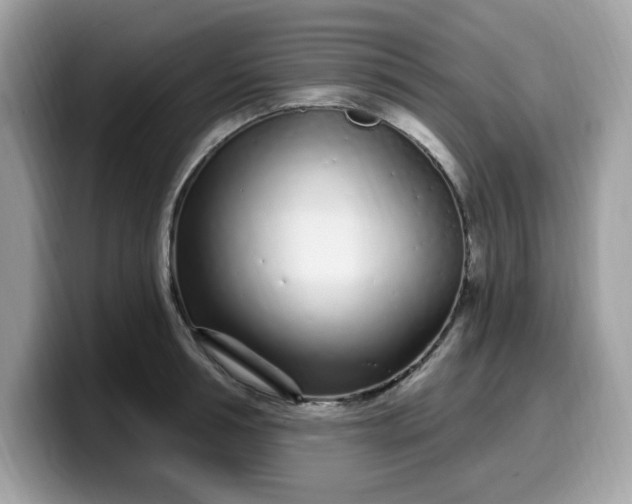 X0000099580994200805301556