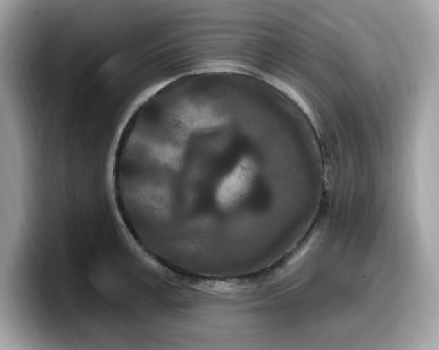 X0000099580995200805301556