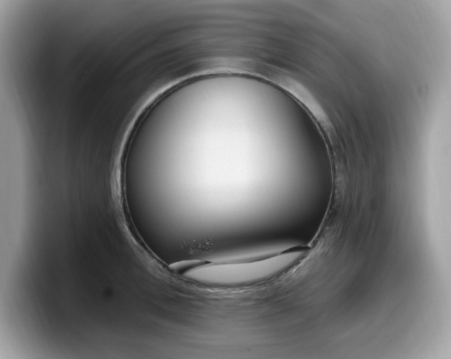 X0000099580996200805301556