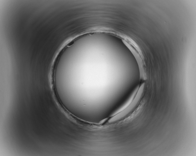 X0000099580997200805301556