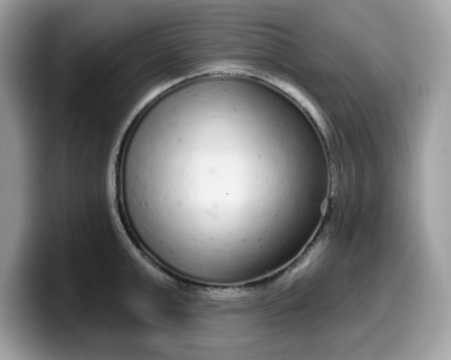 X0000099580999200805301556