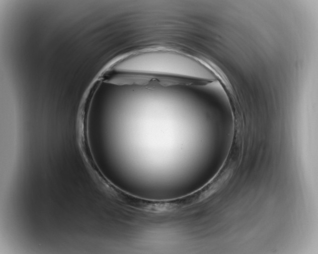 X0000099581000200805301556