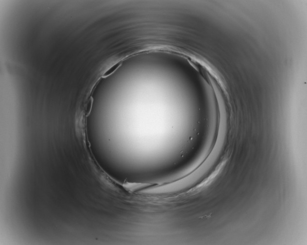 X0000099581001200805301556