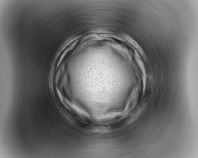 X0000099581002200805301556