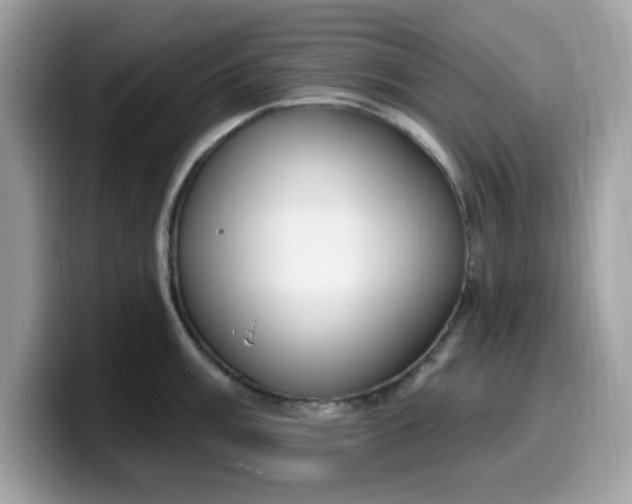 X0000099581003200805301556