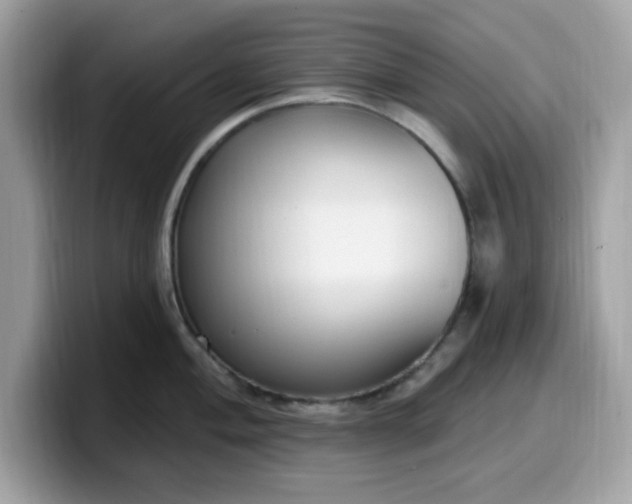 X0000099581004200805301556