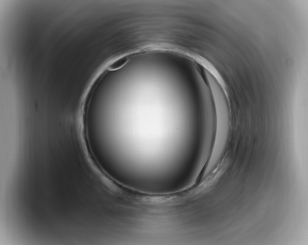 X0000099581005200805301556