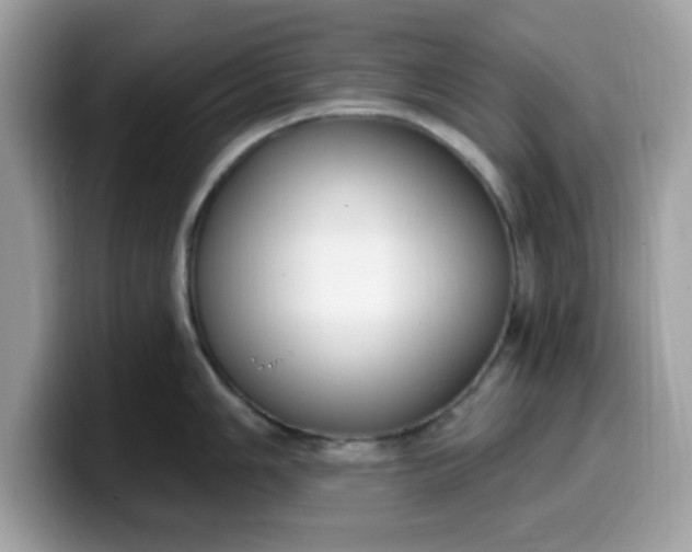 X0000099581006200805301556