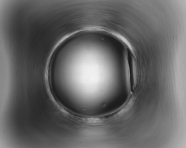 X0000099581007200805301556