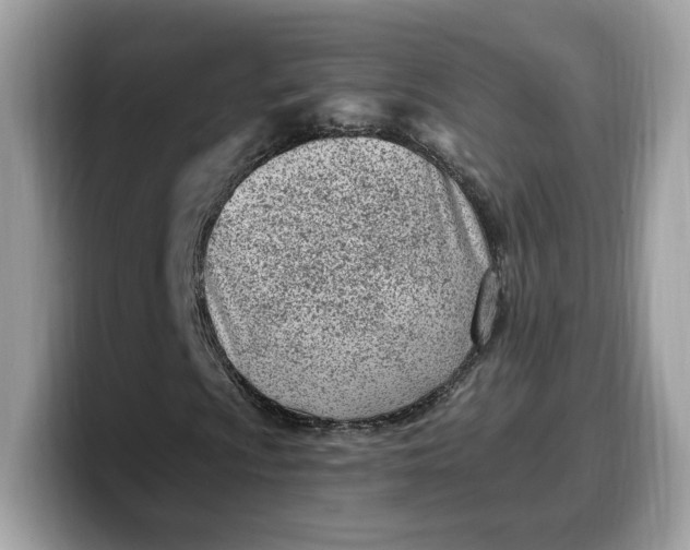 X0000099581009200805301555