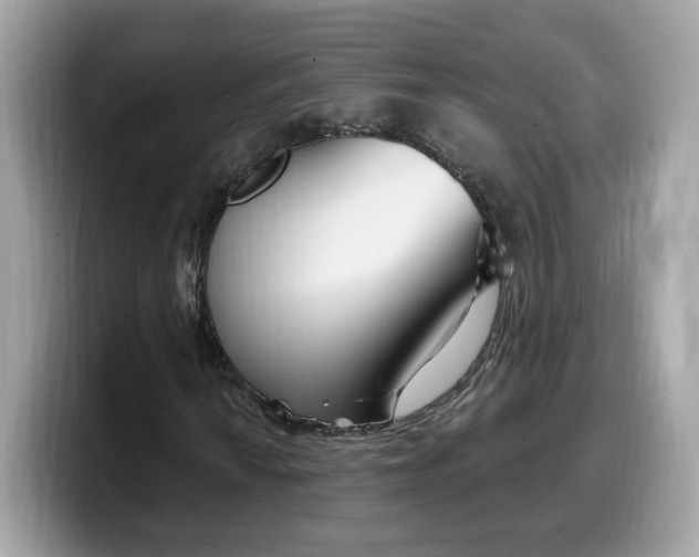 X0000099581010200805301555