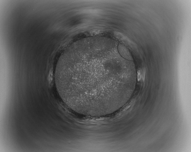 X0000099581011200805301555